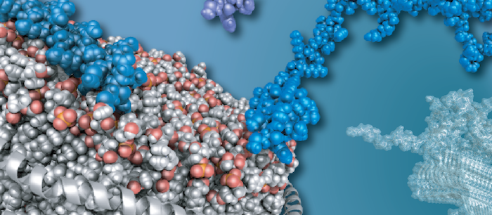 Connecting membrane binding to function or misfunction.